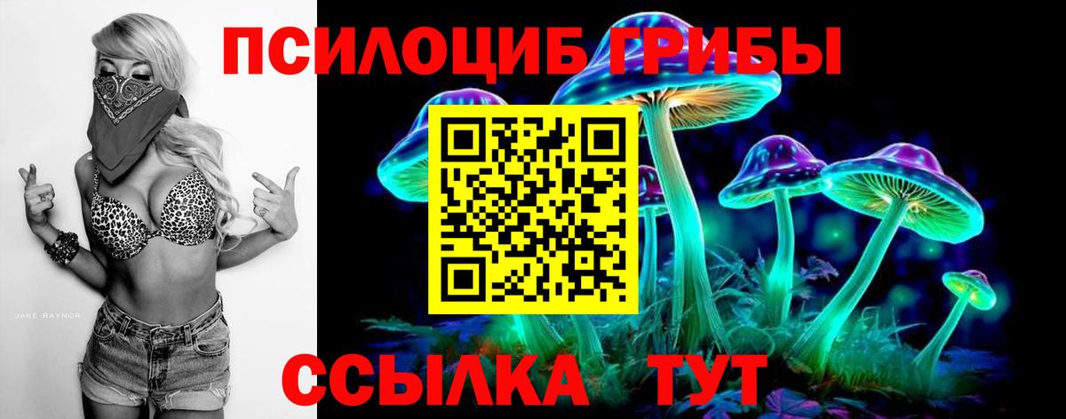 Псилоцибиновые грибы мицелий  Вход с VPN  Дзержинский  Псилоцибиновые грибы Psilocybine cubensis 