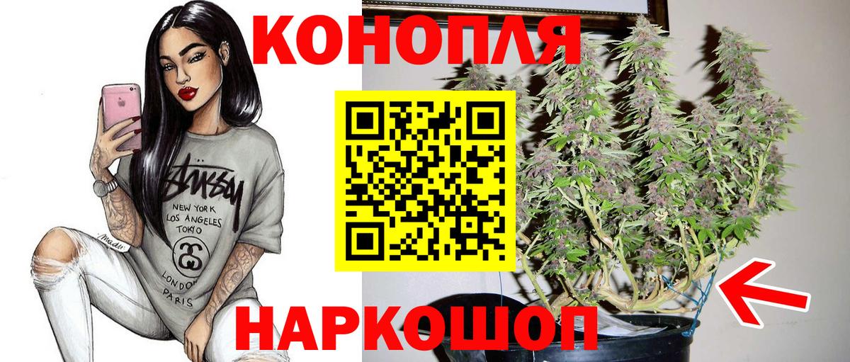 Бошки Шишки семена Дзержинский